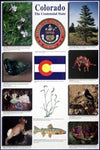 Colorado Centennial Poster